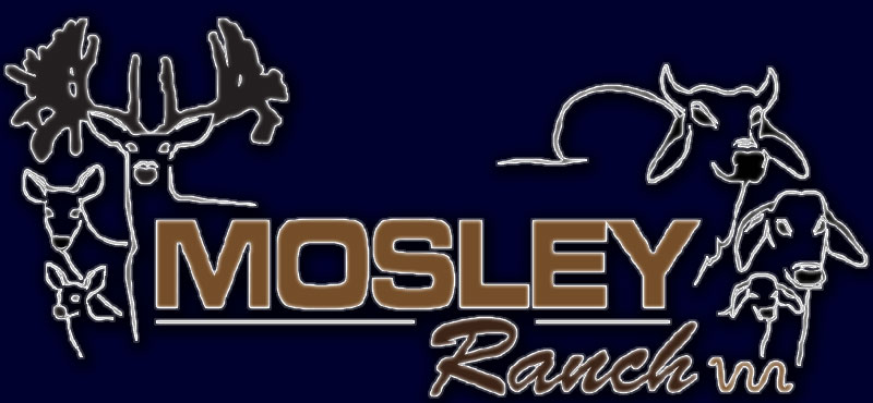 Mosley Ranch