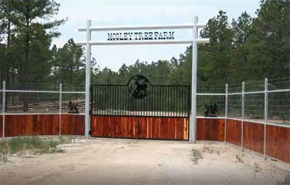 Mosley Tree Farm